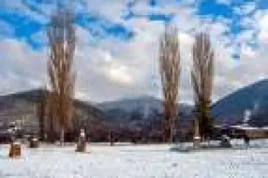 Скельские менгиры 