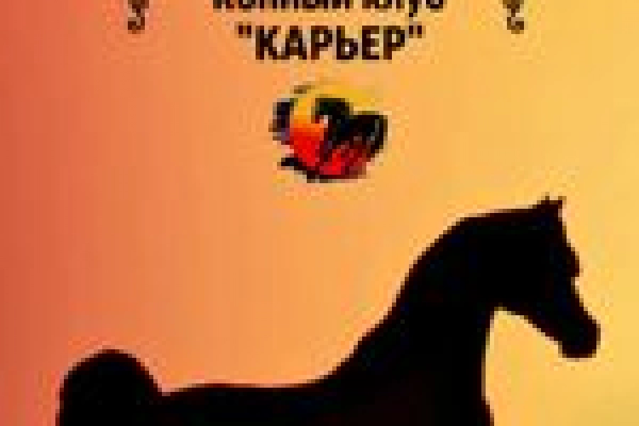 Карьер 