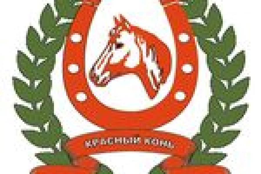 Красный конь 