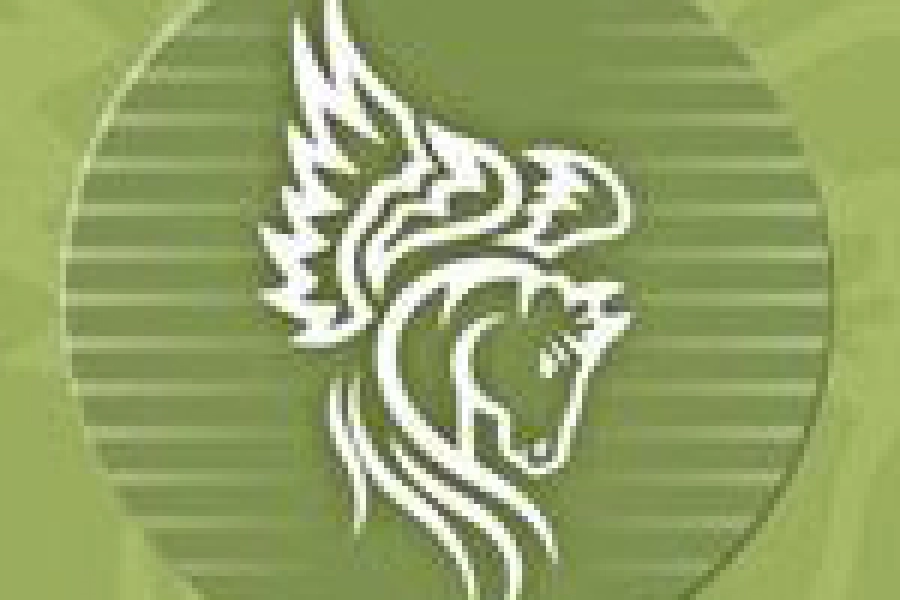 Savostin Horse Beach Club